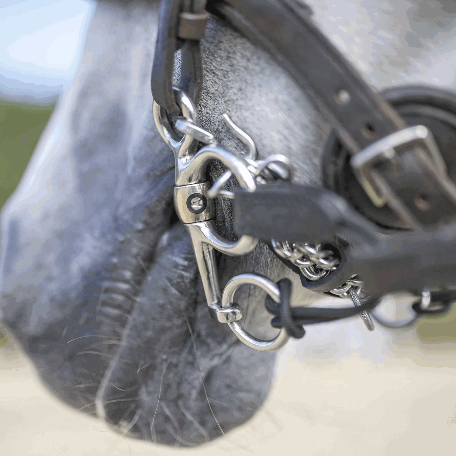 CM Pelham 16 mm starre Stange mit Zungenfreiheit - Sensogan