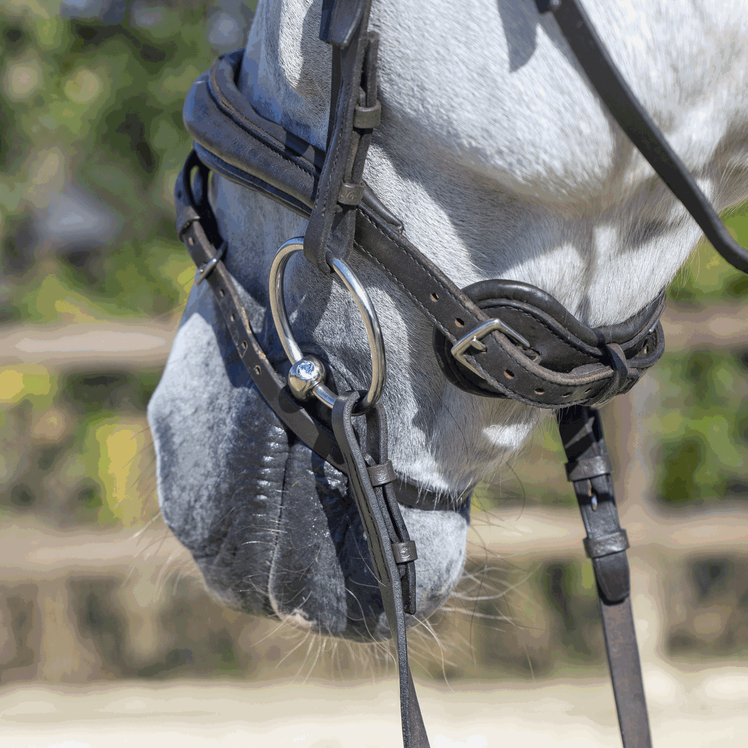 Dynamic RS Shine Bright Wassertrense 16 mm doppelt gebrochen - Sensogan