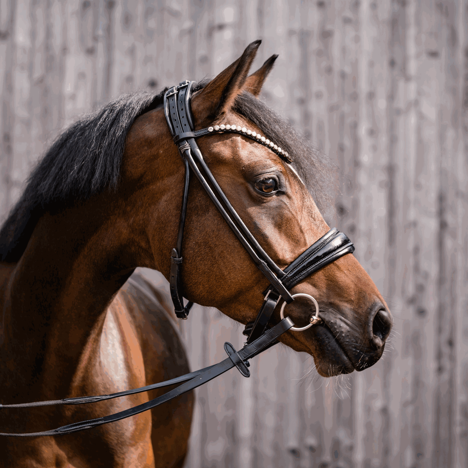 WH ULTRA Unterlegtrense 14 mm