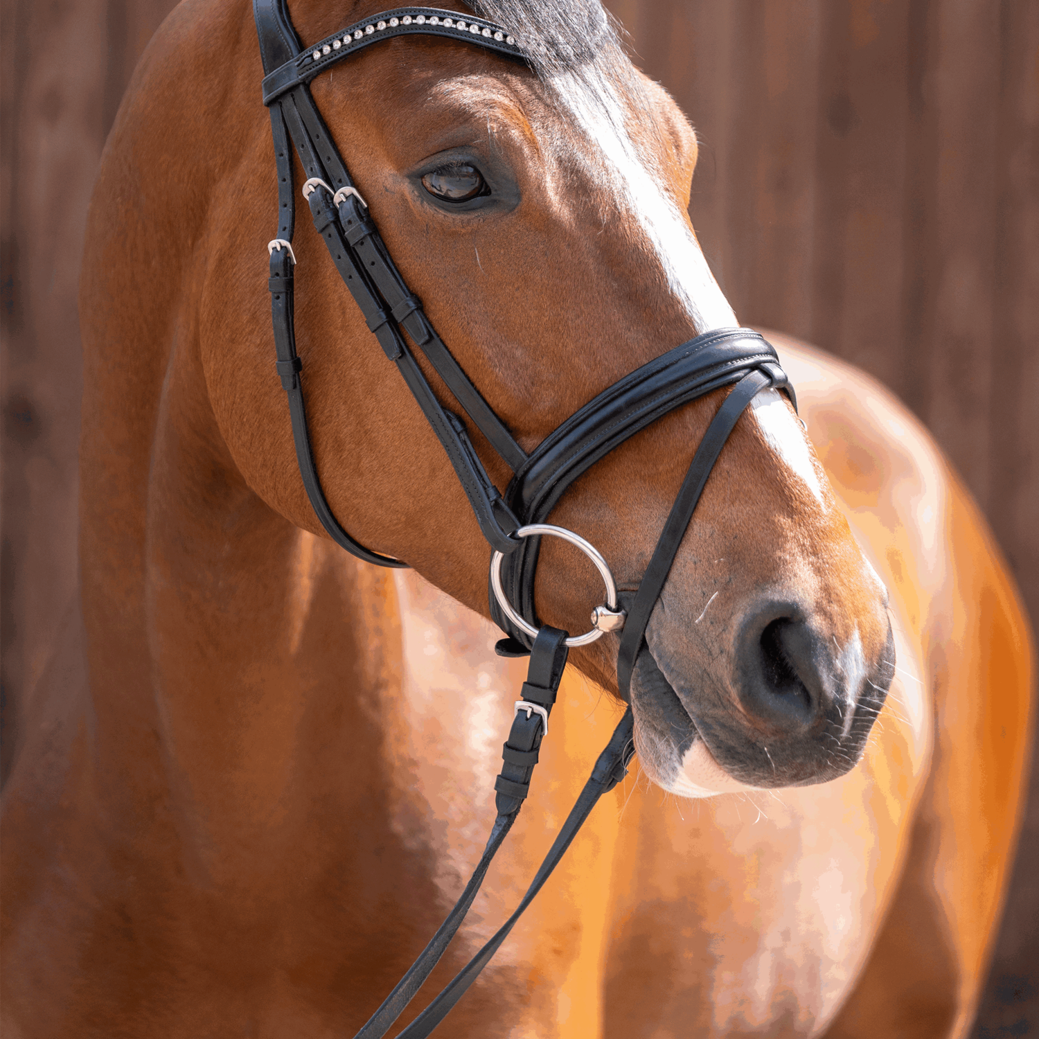 KK ULTRA 14 mm | Wassertrense_21.png | 1744614482