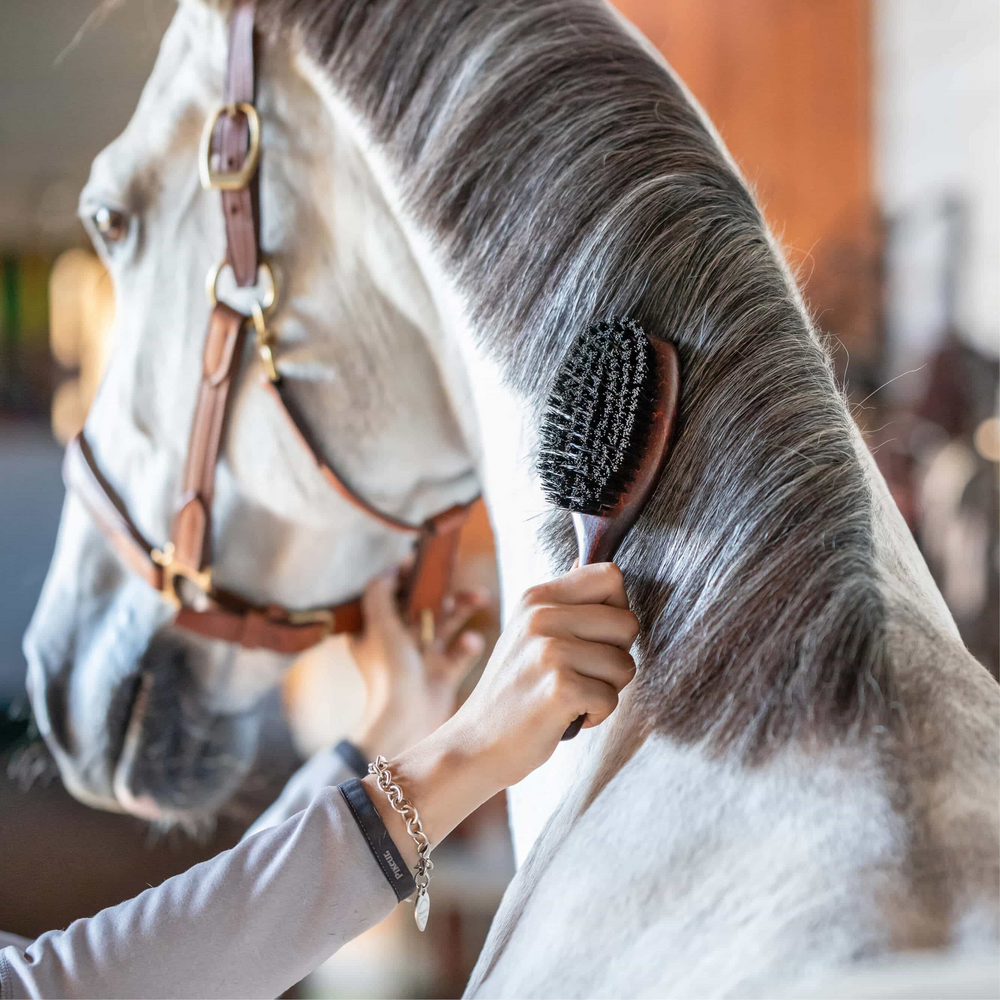 Sprenger: the best for horse and rider since 1872